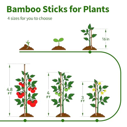 36 Pcs Plant Stakes, 16 Inches Natural Garden Bamboo Sticks, Plant Support Stakes for Indoor & Outdoor Plants, Orchid Tomato Vegetable Stakes for Garden