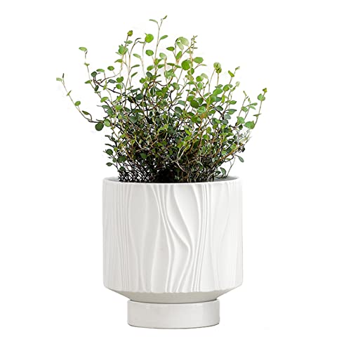 UBEE 5.5 Inch Ceramic Flower Pot for Indoor Plants | Unique Planter Succulent Pots | Decorative Plant Pot with Drainage Hole and Saucer for House Plants, Snake and Orchid, White - color: White
