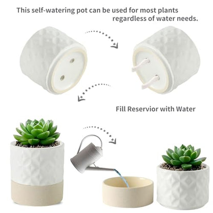 Nihow Self Watering Ceramic Plant Pot, 4.5 Inch, Matte White & Brown Star - color: Matte White & Brown Star, size: 4.5" Self Watering