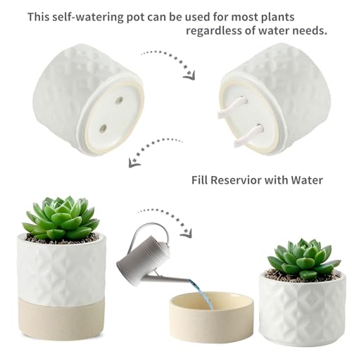 Nihow Ceramic Self Watering Plant Pot for Indoor Plants, 6 Inch,Cream White - color: Matte White & Brown Star, size: 6" Self Watering