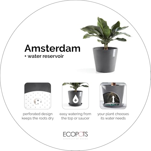 Ecopots Amsterdam Round Flower Planter with Water Reservoir, Grey, 8" - color: Gray, size: 8 inches