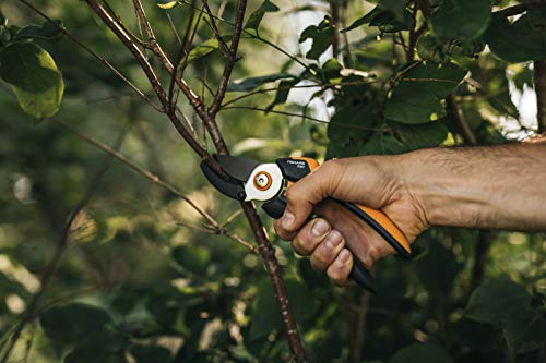 Fiskars Anvil Garden Pruners L, Solid, P361, for Dry Twigs and Branches, Non-Stick Coated, Stainless Steel Blades, Length: 20.1 cm, Black/Orange, 1057165 - style: Anvil - P361