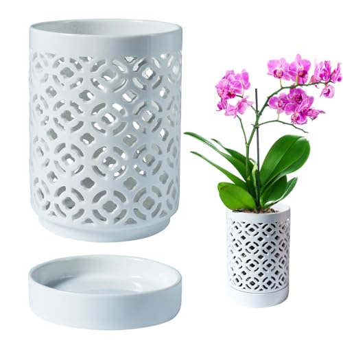Orchid Pot 4 Inch, Orchid Pots with Holes & Saucers for Repotting, Breathable Slotted Orchid Pots Flower Plant Nursery Pot White 2 Pack - color: White Plum 2p