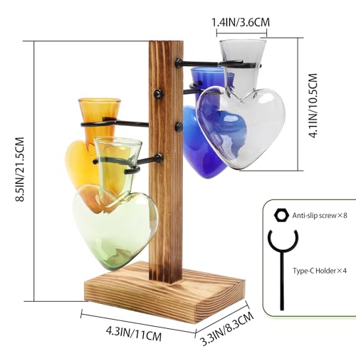 Plant Terrarium Propagation Stations with Wooden Stand - color: Color-02