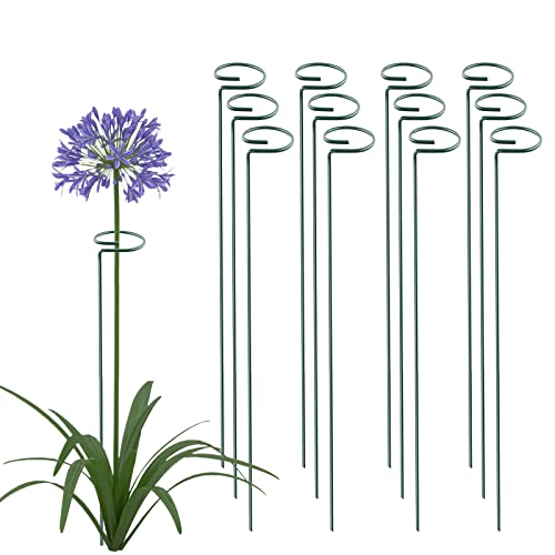 Thealyn 36 Inch 12 Packs Plant Support Stakes,Garden Single stemmed Plant Support Hoops, Plant Prop, for Flowers,Orchid, Tomatoes Peony Lily Rose (36 inch) - color: 36 inch-Green