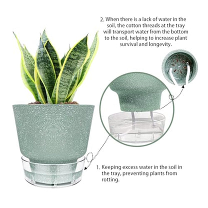 2024 Upgraded 5 Pack 6-Inch Self-Watering Planter Pots with Deep Reservoir for Indoor and Outdoor Plants with Planting Tools (Frosted Black) - color: Frosted Black