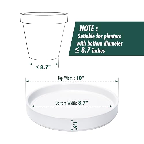 D'vine Dev Ceramic Plant Saucer/Drainage Tray, 8.7 in, White, 97-T-A-4 - color: White, size: 8.7" (1 Pack)