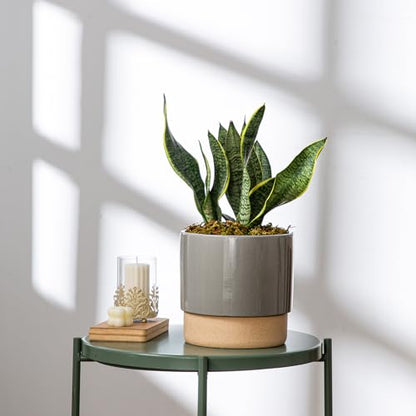 8 Inch Ceramic Self Watering Planter with Drainage Hole, Dark Grey - color: Darkgrey, size: Medium