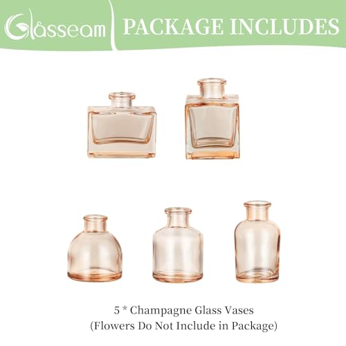 Glasseam Champagne Mini Bud Vases, 5 Pcs Small Glass Vases for Centerpieces - color: Champagne, size: 5Pcs- Mini Vases