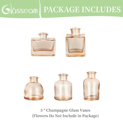 Glasseam Champagne Mini Bud Vases, 5 Pcs Small Glass Vases for Centerpieces - color: Champagne, size: 5Pcs- Mini Vases