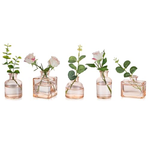 Glasseam Champagne Mini Bud Vases, 5 Pcs Small Glass Vases for Centerpieces - color: Champagne, size: 5Pcs- Mini Vases