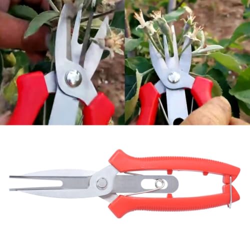 2 Pcs Pruning Shears, Stainless Steel Straight Pointed with Safety Lock, Red Ergonomic Handle,7.7Inch for Flowers Fruit Trees Small Branches Yard Maintenance