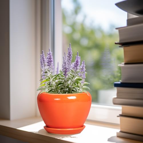Ceramicfor Ceramic Plant Pot 6 Inch - Ceramic Planter for Indoor Plants Outdoor, Glaze Round Modern Flower Pot with Drainage Hole and Saucer, Gift for Plant Lover, Home Garden Room Decor, Orange - color: Glossy Orange, size: 6 Inch