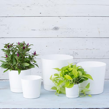 Novelty Majestic Full Depth Cylinder Pot, Glossy White, 12-Inch (10122) - color: White, size: 12 Inch