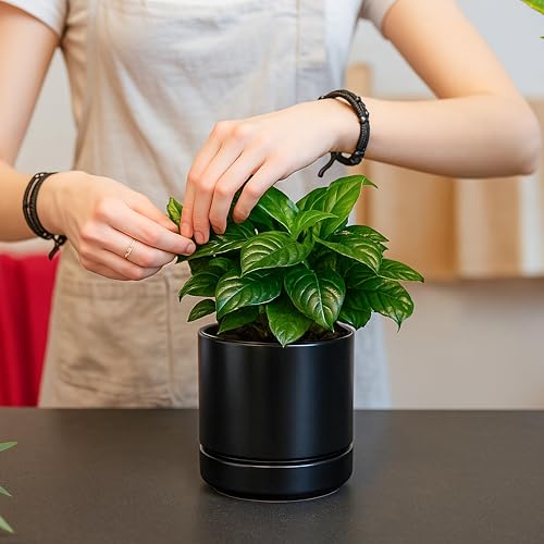 D'vine Dev 2-Pack Ceramic Pots with Saucers, Black, 4/6 in, 94-G-S-2 - color: Black, size: Small