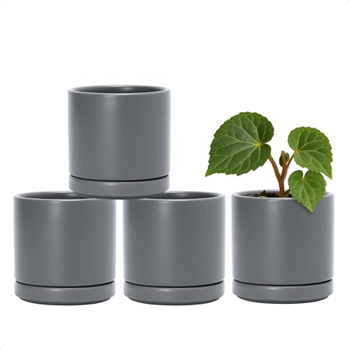 D'vine Dev 4-Pack Ceramic Pots with Saucers, Grey, 3.5 in, 94-X-A-3 - color: Gray, size: 3.5 Inch
