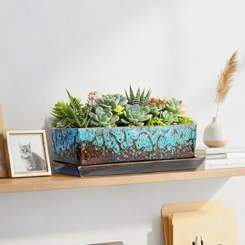 Succulent Pots - Long Rectangle Succulent Planters with Drainage Tray - color: Blue