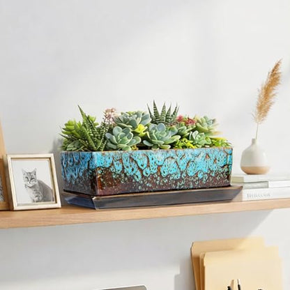 Succulent Pots - Long Rectangle Succulent Planters with Drainage Tray - color: Blue