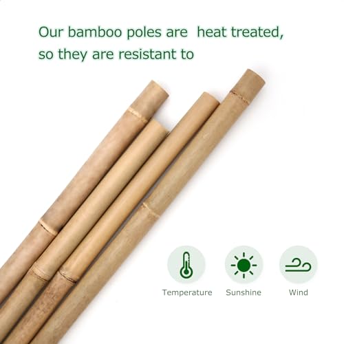 Cambaverd Bamboo Stakes 8 Feet, 1in Dia. Garden Stakes,10 Pack Bamboo Poles - size: 8 FT-10PACK