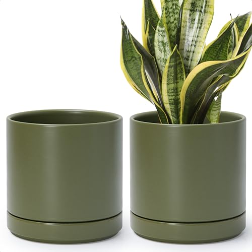 D'vine Dev 2-Pack Ceramic Pots with Saucers, Olive, 6.5 in, 94-V-C-J - color: Olive, size: 6 Inch