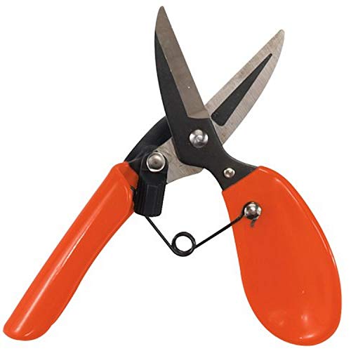 Dramm 18001 ColorStorm Premium Garden Scissors, Red - color: Red, style: Garden Scissors