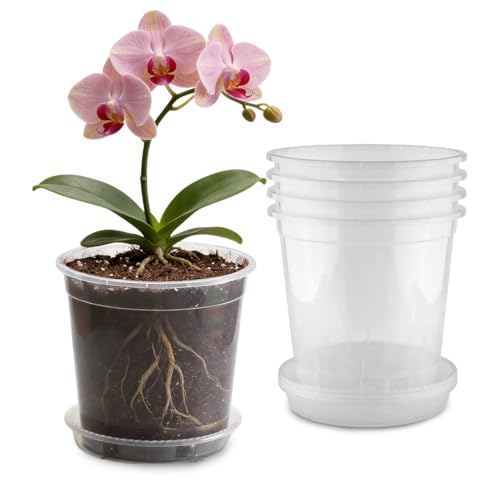 BTPLASTIK 1 Gallon Clear Nursery Pots with Saucers 5P, 7.5 Inch Round Plastic Plant Pots with Drainage Holes - size: 1 Gallon + Saucers 5P