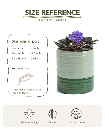 Fayoula Self Watering Pots for Indoor Plants, 6 Inch Ceramic Self Watering Plant Pot, Planter Pot with Wick Rope and Drainage Hole for African Violet Succulent Herbs (Green Light) - color: Green Light