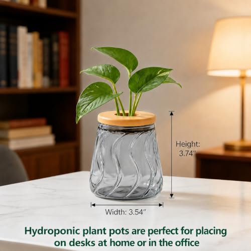 Desktop Plant Hydroponic Vases, Water Plant Jars, Gardening Gifts for Office and Home, Outdoor, Gray Glacier Pattern - color: Gray Glacier Pattern
