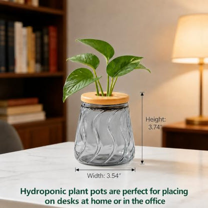 Desktop Plant Hydroponic Vases, Water Plant Jars, Gardening Gifts for Office and Home, Outdoor, Gray Glacier Pattern - color: Gray Glacier Pattern
