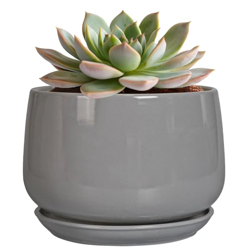 G EPGardening Ceramic Pot for Plants, 6 Inch, Gray - color: Gray, size: 5 Inch