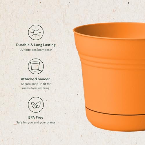 Bloem Saturn 5" Round Plastic Planter - Indoor/Outdoor, Snap-in Saucer & Drainage Holes, Mango - color: Mango, size: 5 Inches