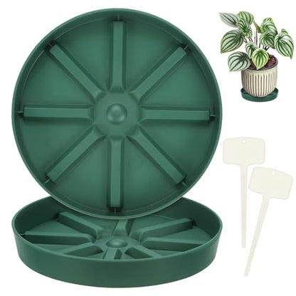 M METERXITY 2-Pack Plant Saucer, 5.51 Inch/14 cm Plastic Plant Trays Thicker for Pots/Indoor/Outdoor/Water Drainage and Protection, Flowerpot Drip Tray [Green] - size: 5.51 in