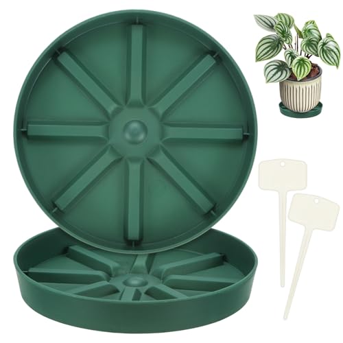 M METERXITY 2-Pack Plant Saucer, 5.51 Inch/14 cm Plastic Plant Trays Thicker for Pots/Indoor/Outdoor/Water Drainage and Protection, Flowerpot Drip Tray [Green] - size: 5.51 in