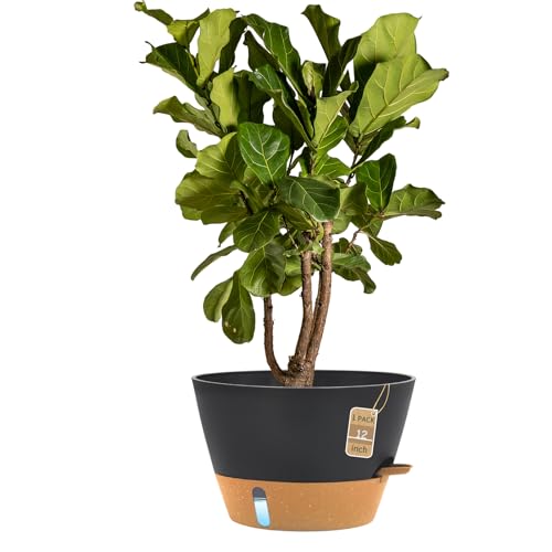 12 Inch Self Watering Pot with Visual Water Window, Drainage Holes & Watering Lip, Large Plastic Planters for Indoor Outdoor Plants, Modern Decorative Flower Pot (Grey) - color: Black, size: 12 Inch