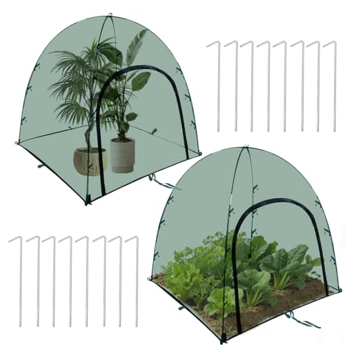 2pack Large Mesh Plant Cover Tent, 36x36x37Inches Pest Guard Cover, Insect Bird Barrier Netting Outdoor Plant Enclosure, Garden Net Cage Plant Protector Pest Protection Guard for Fruit Vegetables - color: Green-36*36*37