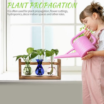 Plant Propagation Station Plant Terrarium Unique Birthday Gifts for Women - color: Color01