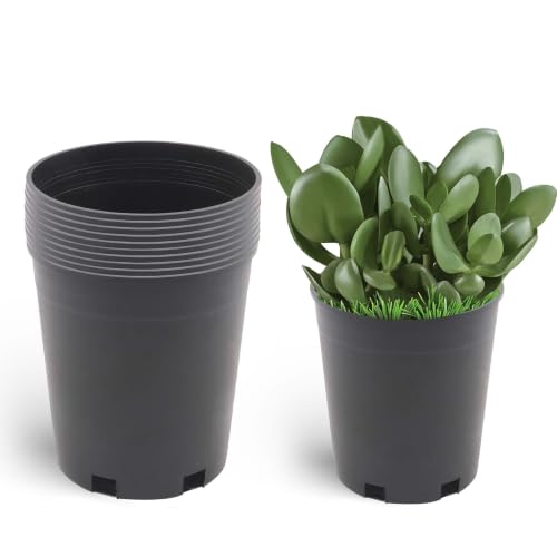 Planter Nursery Pots 0.74 Gallon Pots for Plants, Injection Molded Plastic Nursery Pots, Plant Container 0.74 Gal 10-Pack - color: Black, size: Round-7inch-10pcs