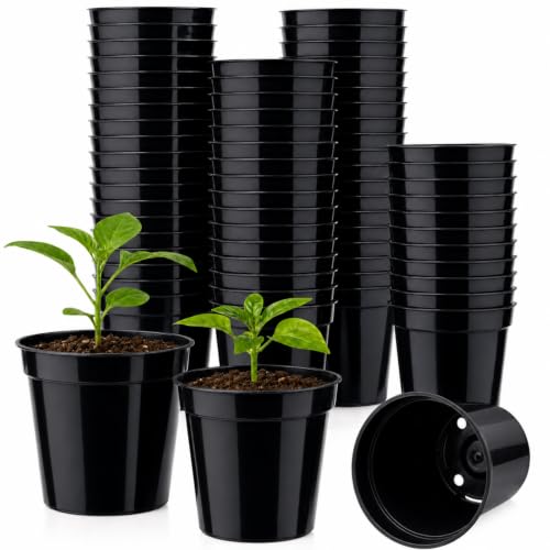 60 Pack 2 Inch Nursery Pots, Mini Plastic Plant Pots for Seedlings(Black) - color: Black
