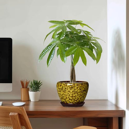 6 Inch Ceramic Plant Pot, Yellow Leopard - color: Yellow Leopard, size: 6 Inch
