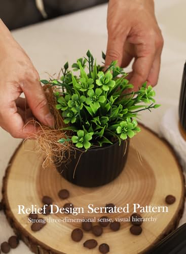 4 Inch Ceramic Plant Pots, Small Succulent Pot with Drainage Hole & Saucer - color: Stripe Pure Black