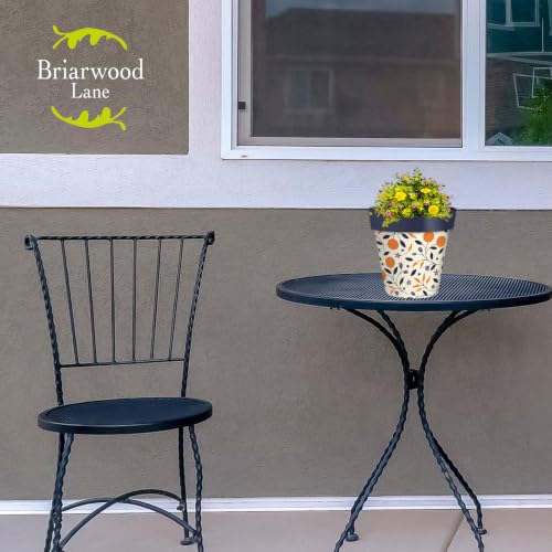 Briarwood Lane Everyday Planter 8.5" x 8.5" x 8.5" Citrus and Vines Small Planter - color: Citrus Vine, size: Small