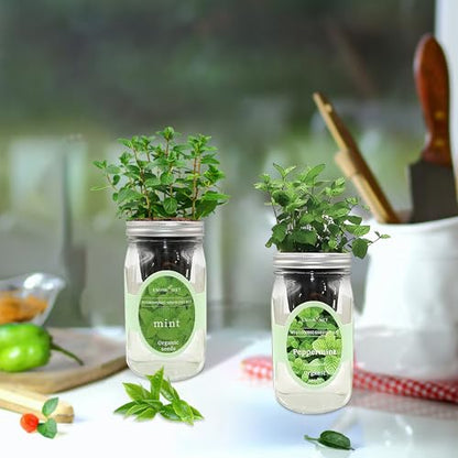 2-Pack Hydroponic Mason Jar Herb Garden Kit, Indoor Herb Garden Self-Watering Starter Kit, New Christmas Gift for Mom (Mint,Peppermint)