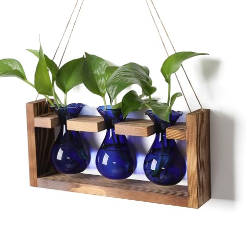Plant Propagation Station Plant Terrarium Unique Birthday Gifts for Women - color: Blue