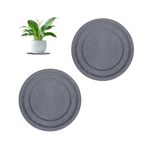 Diatomaceous Earth Plant Pot Saucers for Indoor & Outdoor, 2 Pack 6 inch, Round Plant Drip Trays, Plant Dish Pant Plate to Catch Water, Instant Drying Stone Drainage Tray - size: 6 inch