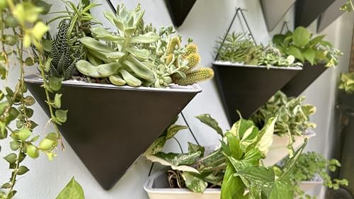 LaLaGreen Indoor Wall Planter (12in, 2 Pack) Black Self Watering Flower Pot - color: Black X 2 Pack
