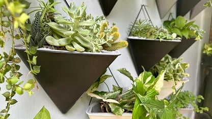LaLaGreen Indoor Wall Planter (12in, 2 Pack) Black Self Watering Flower Pot - color: Black X 2 Pack