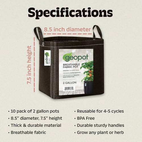 GeoPot 2 Gallon Fabric Grow Bags with Handles for Vegetables, Houseplants, Herbs & Flowers | 10-Pack | Fabric Pots for Outdoors and Indoors, Aerated Fabric Grow Bags - size: 2 Gallon (10-Pack), style: With Handles