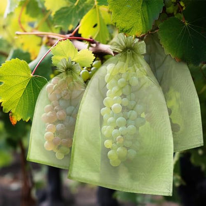 50 PCS 6X9 inches Fruit Protection Bags, Fruit Bags for Fruit Trees - size: 6X9