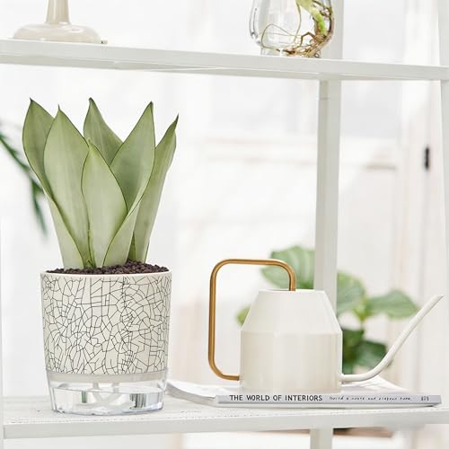 3 Pack 4.3+5.5+6.3 Inch Self Watering Pots Set, Self Watering Planter with Reservoir and Wick Rope for Indoor/Outdoor Plants, Modern Houseplants Pots for African Violets,Cactus,Herbs,Succulents