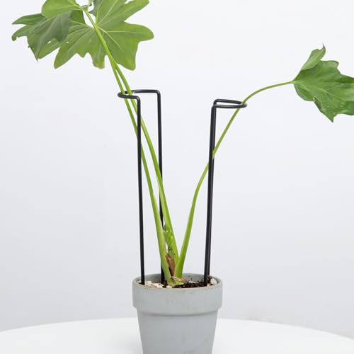 10Pcs Monstera Plant Support - 12" Durable Iron U-Shaped Trellis Stakes - color: Black, size: 12 Inch H